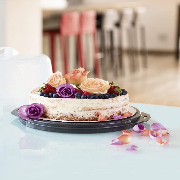 Контейнер для тортов переносной 35 x 31 x 14 см Xavax