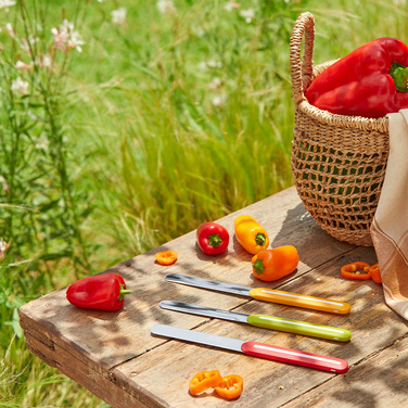 849000 Набір ножів кухонних 3 шт серія 'B-Line'