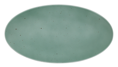 Блюдо овальне 33 х 18 см Country Life Petrol Coup Fine Dining Seltmann