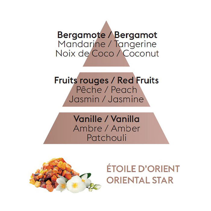 Дифузор Maison Berger Paris ICE CUBE з ароматом ORIENTAL STAR, 100 мл