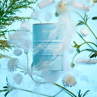 Ароматичні свічки M&SENSE з натурального соєвого воску, натуральна соєва свічка для домашнього декору, тривалий час горіння до 70 годин, класні подарунки-свічки для чоловіків і жінок (320 г, Hgelfeld Windblumen)