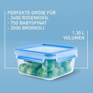 Набір контейнерів для зберігання продуктів EMSA Clip & Close, прямокутні, 5 x 0,8 л, коробки для зберігання, 100 герметичні, придатні для миття в посудомийній машині, морозильної камери та мікрохвильової печі, прозорі, сині, зроблені в Німеччині, N10307 (