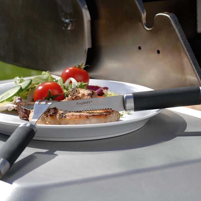 Набір для барбекю BergHOFF Geminis у кейсі, 33 шт.