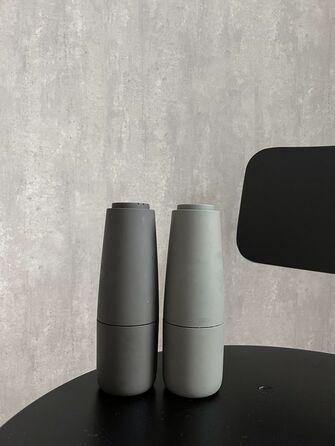 Сільничка і перечниця 20 см Sharkskin / Magnet Salpi Blomus