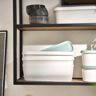 Набір із 2 контейнерів для морозива для морозива 1 л Springlane Kitchen