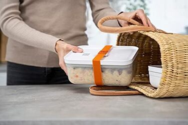 Эластичные ленты для лач-боксов, 3 шт. разноцветные Dino Zwilling