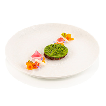 VERZA12 Форма силіконова 'савойська капуста' Ø70 h5 мм (12 мл x12)