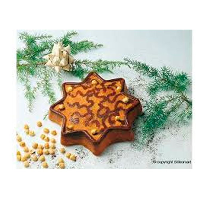 SFT202/C Форма из резины