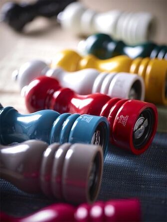 Мельница для соли Paris u'Select 22 см - ParisRama - 6 предустановленных помолов - Изготовлен из древесины, сертифицированной PEFC - Французское ноу-хау - (Сланцевая лакировка)