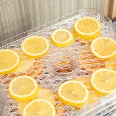 Дегідратор на 5 полиць, 245 Вт HOMCOM