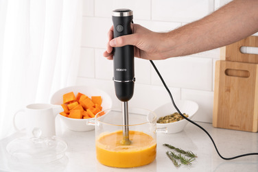 ARDESTO Блендер занурювальний HBG- 600B, 600Вт, чорно-сріблястий