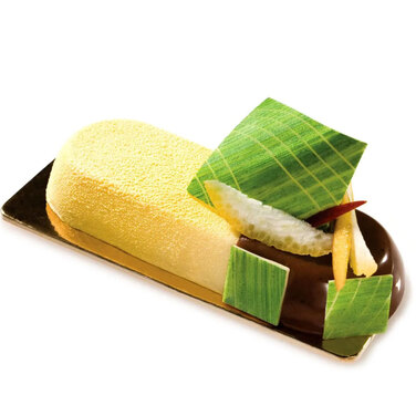 SF103/C Форма из резины