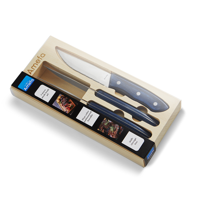 Набір ножів Amefa HERCULE, 4 шт.