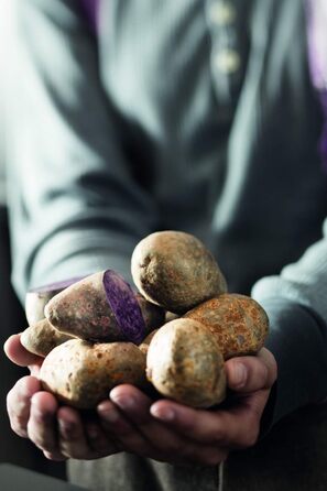 Вилка для картоплі в мундирі 17 см Rosle