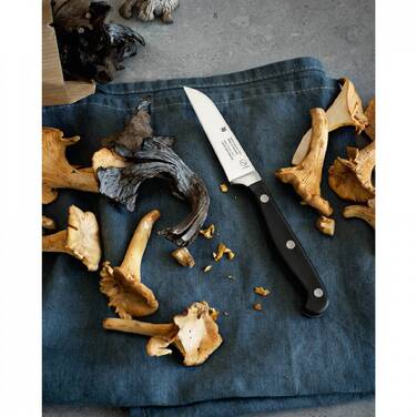 Колекція Spitzenklasse Plus от WMF