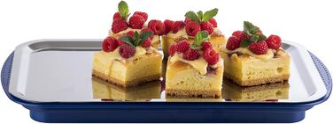 Предметів Високоякісний набір лотків, що складається з міцної оболонки, підноса з нержавіючої сталі, двох батарей охолодження та витяжки для зберігання продуктів, транспортування та перенесення вантажів із силікону, (синій), 6