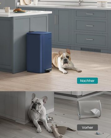 Сміттєвий бак 30 л північно-блакитний SONGMICS