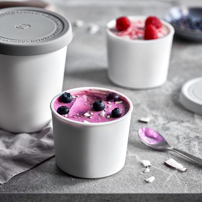 Набір з 2 контейнерів для морозива 1 л, контейнери для зберігання, морозильні банки, контейнери для льоду без бісфенолу А харчового класу (сірий міні-набір з 4 шт. )