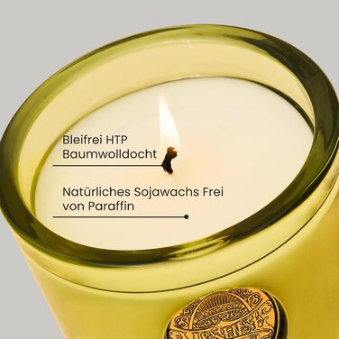 Ароматна свічка M&SENSE Forest Cabin, Ароматизовані свічки у склянці, Натуральна соєва свічка, Час горіння 55 годин, Подарункові свічки для жінок та чоловіків, Подарункова свічка (Сіетлський тропічний ліс, 260 г)