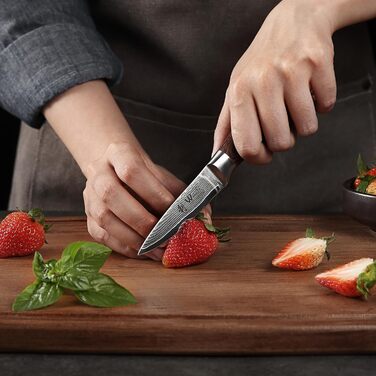 Набір кухонних ножів з дамаської сталі, 4 предмети Edib Wakoli