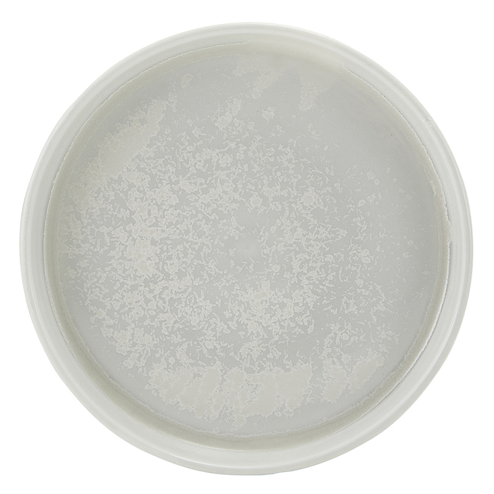 Тарелка презентационная 18*2.7 см с вертикальным бортом, Incise Porcelain Lucine, GenWare