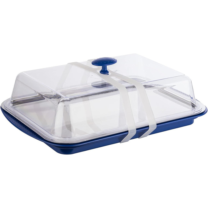 Предметів Високоякісний набір лотків, що складається з міцної оболонки, підноса з нержавіючої сталі, двох батарей охолодження та витяжки для зберігання продуктів, транспортування та перенесення вантажів із силікону, (синій), 6