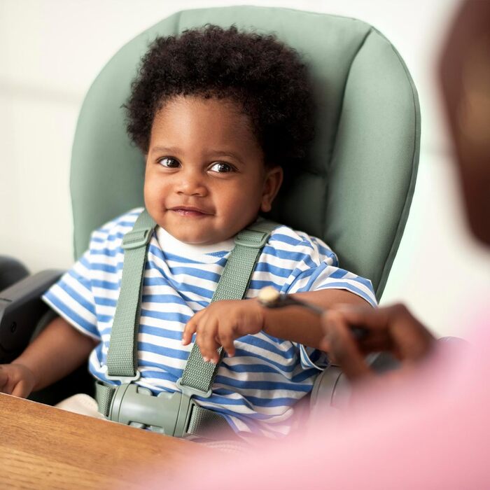 Дитячий стільчик для годування від 0 до 14 графіт Minla Maxi-Cosi