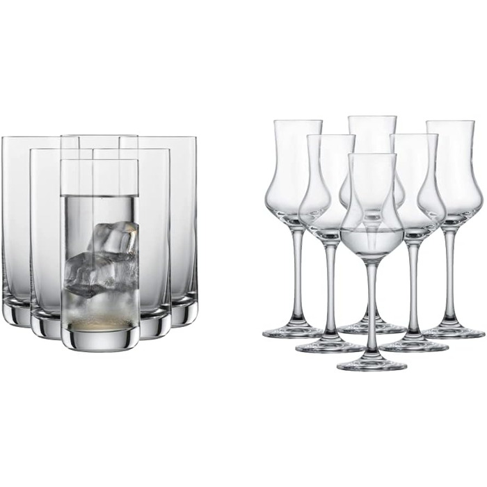 Пивний кухоль SCHOTT ZWIESEL Convention 0,2 л (набір з 6 шт.), простий пивний келих для пільзнера, кришталеві келихи Tritan, які можна мити в посудомийній машині, Зроблено в Німеччині (номер для замовлення 175500) (Довгий келих для пиття - 0,37 л, комплек