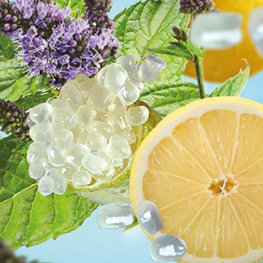 Диффузор для автомобиля Maison Berger Paris RIVIERA с арроматом TONIC LEMON