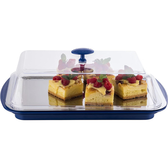 Предметів Високоякісний набір лотків, що складається з міцної оболонки, підноса з нержавіючої сталі, двох батарей охолодження та витяжки для зберігання продуктів, транспортування та перенесення вантажів із силікону, (синій), 6