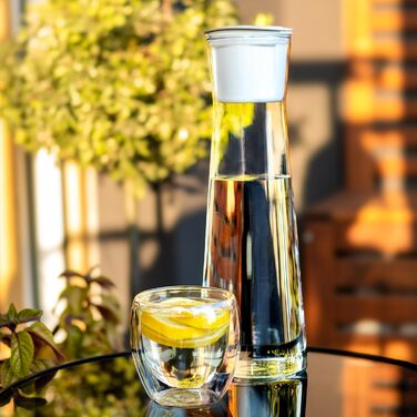 Скляний графин з кришкою та 4 фільтрами 1 л Wessper