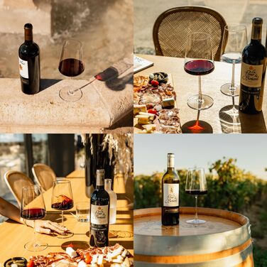 Келих для червоного вина, набір з 6 келихів, Power Stölzle Lausitz