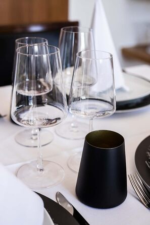 Набір з 12 келихів для червоного та білого вина, Power Stölzle Lausitz