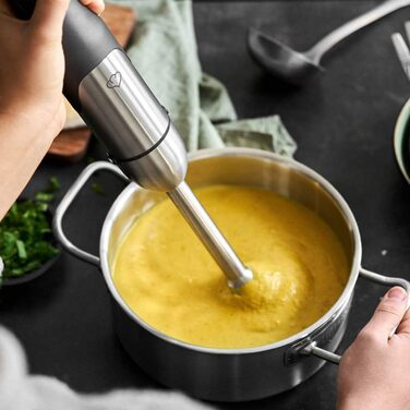 Набір ручного блендера 800 Вт Springlane Kitchen