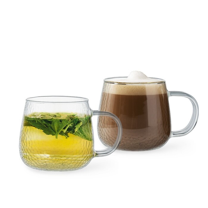 Набір з 2-х кухлів Fissman 300 мл жаростійке скло (6597)