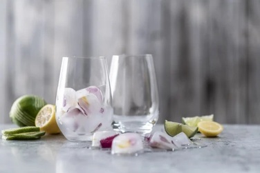 Склянка універсальна 0,55 л, набір 6 предметів Viña Schott Zwiesel