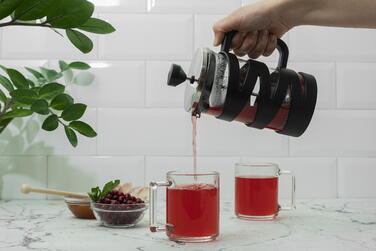 Френч-пресс ARDESTO Gemini, 600 мл, Нержавеющая сталь, Стекло, Пластик