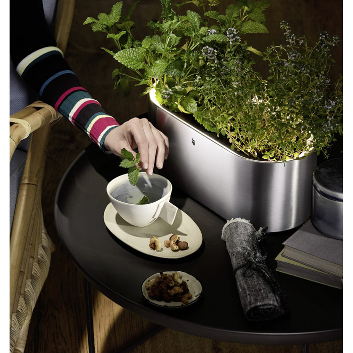 Колекція Ambient от WMF