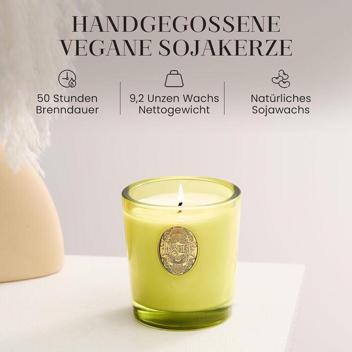 Ароматна свічка M&SENSE Forest Cabin, Ароматизовані свічки у склянці, Натуральна соєва свічка, Час горіння 55 годин, Подарункові свічки для жінок та чоловіків, Подарункова свічка (Сіетлський тропічний ліс, 260 г)