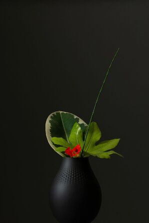 Колекція Collier від Villeroy & Boch