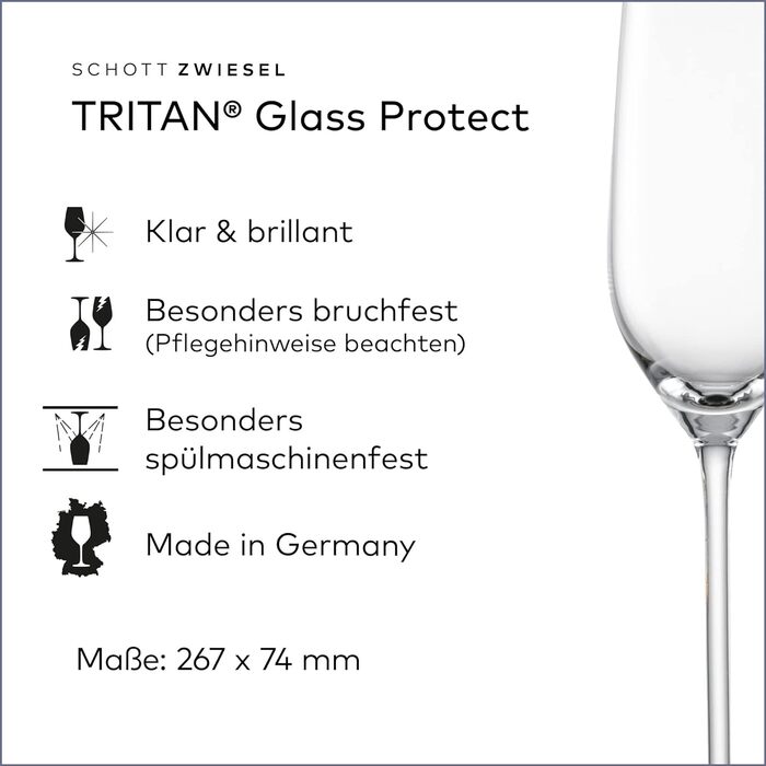 Келих для шампанського 0,24 л, набір 6 предметів, Fortissimo Schott Zwiesel