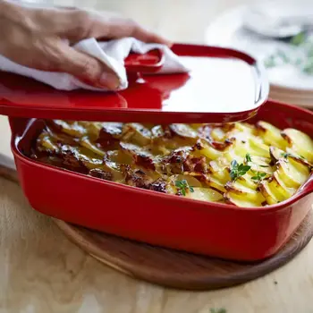 Кришка для форми 9650 25,5x18 см 020050