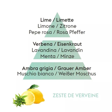 Дифузор Maison Berger Paris ICE CUBE з ароматом ZEST OF VERBENA, 125 мл