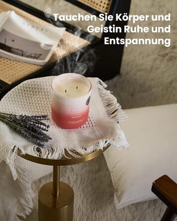 Ароматичні свічки M&SENSE Сосна та кедр у банці, велика соєва свічка 400 г з двома гнітами, час горіння 80 годин, ароматерапевтична свічка для йоги, спа та медитації. Подарунок для дівчини, дружини чи матері. Сосна та кедр (білий персик та квітка апельсин