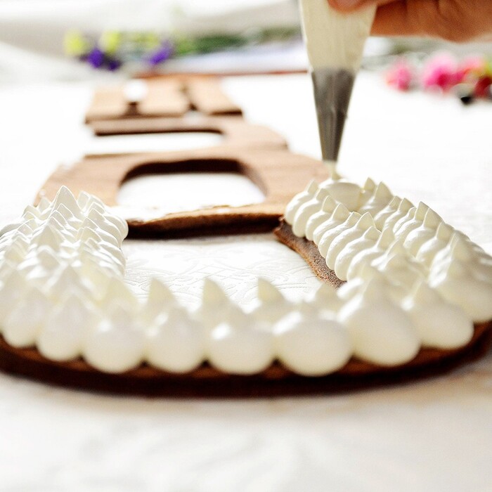 Набір насадок для випічки і прикраси торта, крему Fissman 52 насадки (8511)