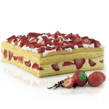 SFT300/C Форма из резины