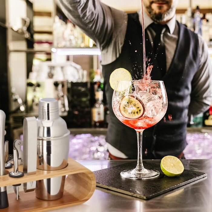 Барний набір для коктейлів, 10 предметів Relaxdays