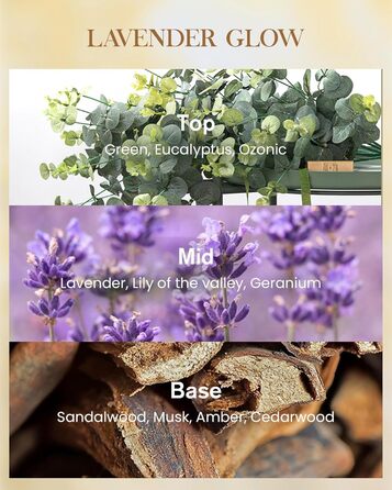 Ароматична свічка M&SENSE надзвичайно велика, час горіння 150 годин, натуральна ароматерапевтична свічка з 3 гнітами, сильний аромат, тривале горіння, подарункова свічка та прикраса для дому, подарунки для жінок (990 г, лаванда)