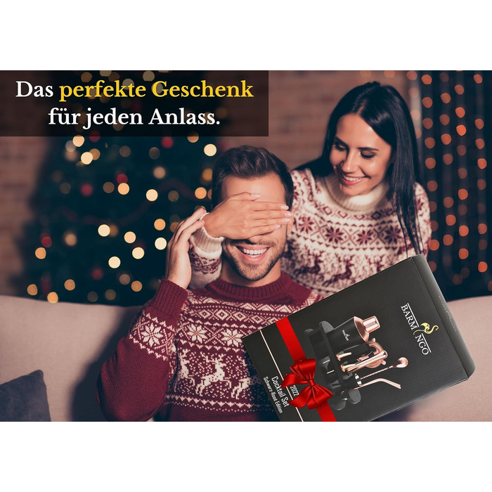 Коктейльний набір з нержавіючої сталі  700 мл з підставкою та барними аксесуарами BARMINGO