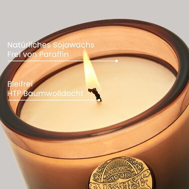 Ароматна свічка M&SENSE Лісова хатина, ароматичні свічки у склянці, натуральна соєва свічка, час горіння 55 годин, подарункові свічки для жінок та чоловіків, подарункова свічка (еспресо з гарячою карамеллю, 260 г)